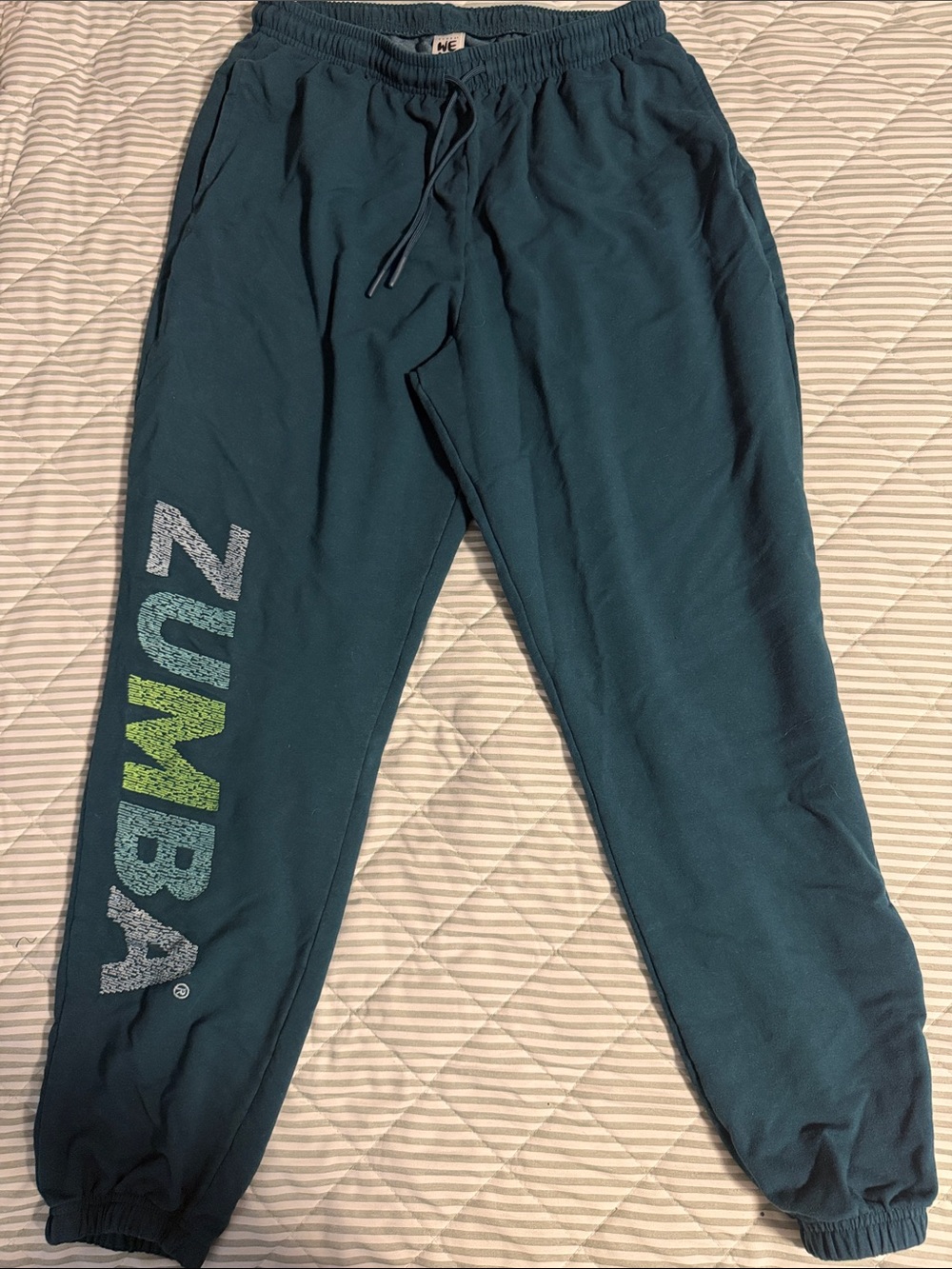 Zumba Fitness Unisex Teal Green Logo Joggers